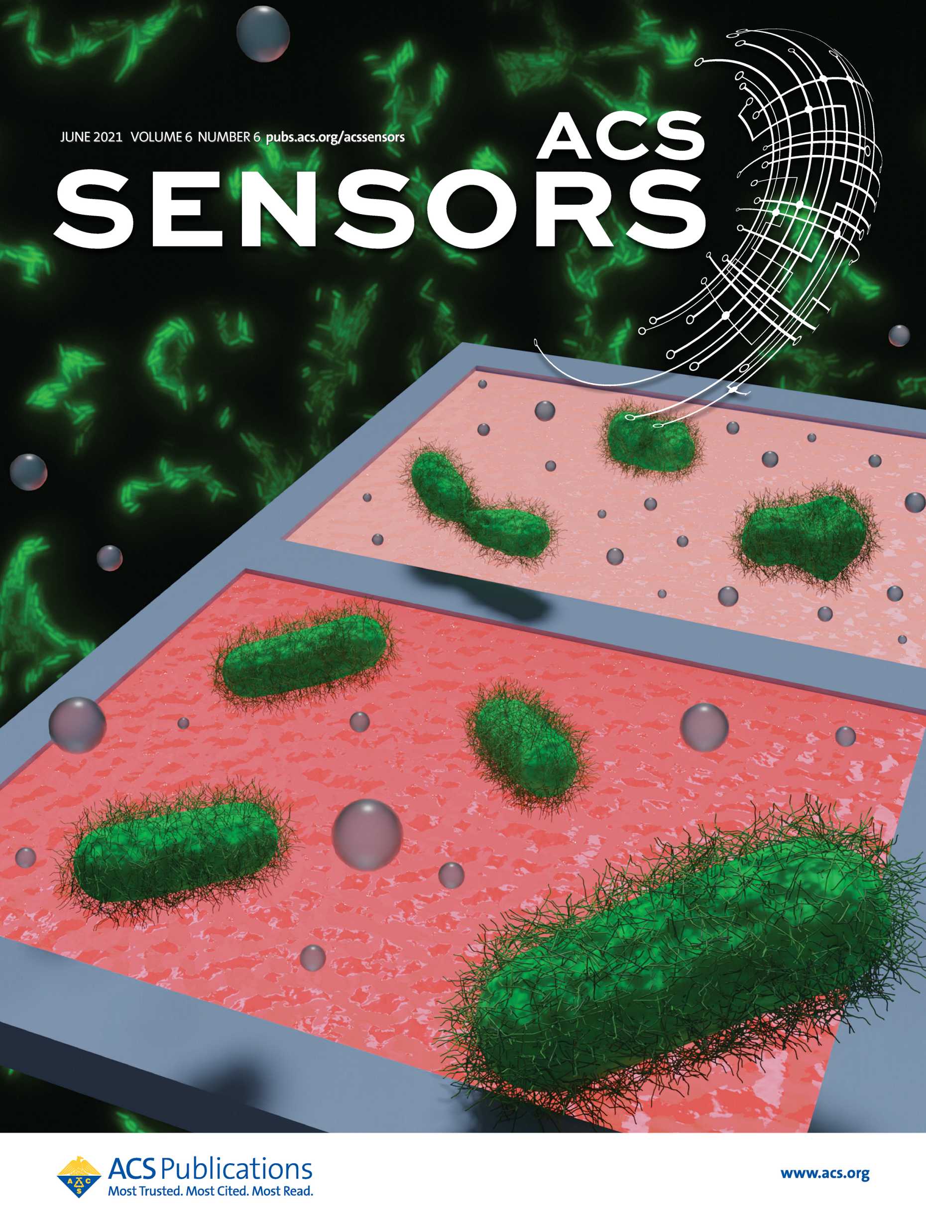 ACS Sensors image